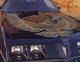 1981 Trans Am Kit Black Special Edition Turbo Kit (2-color)(w/molded stripes) - GOLD