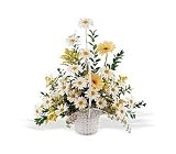 Sympathy White and Yellow Daisy Flowers Drop of Sunshine Basket