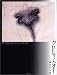 クロトリノハオト―KOTARO FUKUI’S WORKS