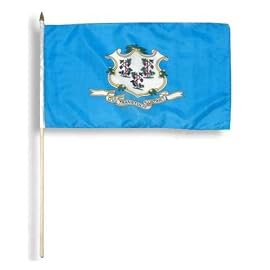 Connecticut Flag 12 x 18 inch