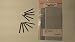 MINI-RECEIVER WAX GUARDS for Siemens Hearing Aids by Hearing Aid Battery Club