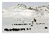 The Buffalo Herd of the Assinibone and Gros Ventre Indians Animals Photographic Poster Print, 24x18