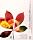 Adobe Creative Suite Premium ���{��� Macintosh��