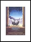 The Princess Bride Movies Framed Art Poster Print, 16x22