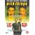 Wild Things [DVD] [1998]