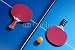 Wallmonkeys Peel and Stick Wall Decals - Ping Pong - Removable Graphic