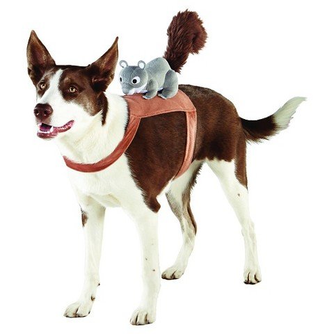 Squirrel Rider Pet Costume S/M