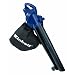 Einhell Elektro-Laubsauger BG-EL 2501 E