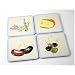 Kitchen & Housewares : Nigella Lawson's Living Kitchen Coaster Cream with Blue Border Set/4