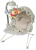 Disney Baby Musical Deluxe Bouncer Featuring Pooh Characters, Ambrosia