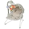 Disney Baby Deluxe Musical Bouncer Featuring Pooh Characters