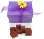Hand Painted Box Pave Glace - Vegan Dark Chocolate