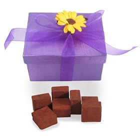 Hand Painted Box Pave Glace - Vegan Dark Chocolate