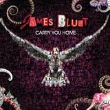 Carry You Home