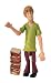 Scooby Doo Action Figure - Shaggy