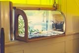 Best Selection-aviarium In-house Window Sill Bird Feeder