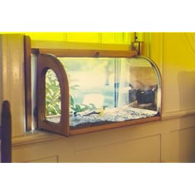Best Selection-aviarium In-house Window Sill Bird Feeder by