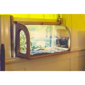 Best Selection-aviarium In-house Window Sill Bird Feeder by