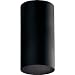1 Light Outdoor Ceiling Fixture