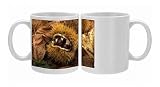 European chestnut / Sweet chestnut Photo Mugs