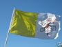 Vatican City Flag 3 x 5 Brand NEW 3x5 Catholic Church
