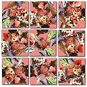 B Dazzle Ice Cream Scramble Squares 9 Piece Puzzle