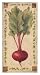 Beet Art Poster Print by Sylvan Lake Collections, 9x17