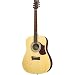 First Act MG412 Deluxe Acoustic Guitar