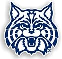 Arizona Wildcats 12" Car Magnet