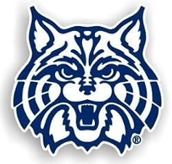Arizona Wildcats 12" Car Magnet - College Athletics Sports Merchandise