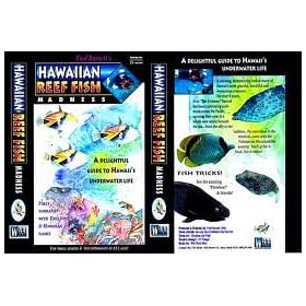 Hawaiian Reef Fish Madness: A Delightful Guide to Hawaii's Underwater Life