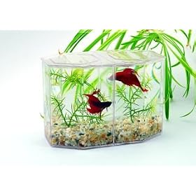 Lee's Dual Betta Hex