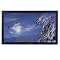 flat panel televisions