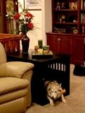 End Table Pet Crate Large Black