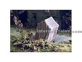Model Tech Studios HO Scale Pre-Assembled Leaning & Abandoned Farm Shed Kit