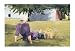 Summer Interlude Print Poster Art Giclee William Bradford Green 32x22