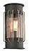Troy Lighting Cabot 14