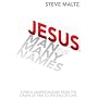 Jesus Man of Many Names