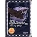 Microsoft Flight Simulator 2004 �������p�b�P�[�W