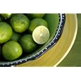 Dwarf Key Lime Tree; Two-Three Years Old; 24" Tall; 3/4" Trunk Caliper; Produces Full Size Fruit on Dwarf Tree; Grow It On Your Patio or In Your Home; Produces Fruit Famous for Key Lime Pie; Citrus Trees Make Wonderful Gifts