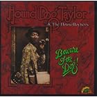 Beware of the Dog by Hound Dog Taylor