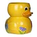 Kitchen & Housewares : Spring Ducks Wastebasket