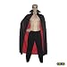 Fully Lined Deluxe Vampire Cape II ~ Halloween Vampire Capes