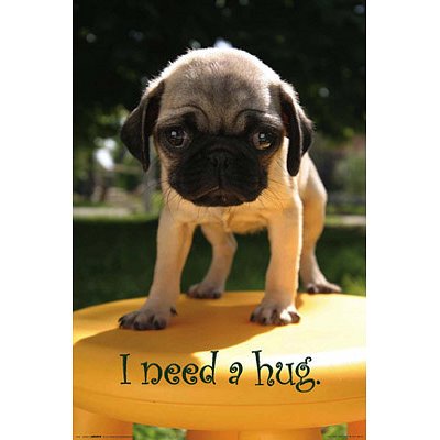(24x36) I Need a Hug (Pug) Art Poster Print