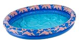 Dolphins at Play Pool