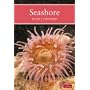 Seashore (New Naturalist)