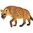 Wild Safari Wildlife: Hyena