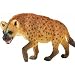 Wild Safari Wildlife: Hyena