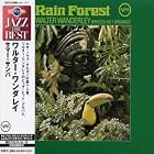 Click here to buy Rain Forest by  Walter Wanderley .