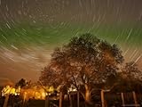 IMAGE OF Star Trails Over Walnut Tree, Domain Road Vineyard, Central Otago, South Island, New Zealand Stretched Canvas Poster Print by David Wall, 40x30